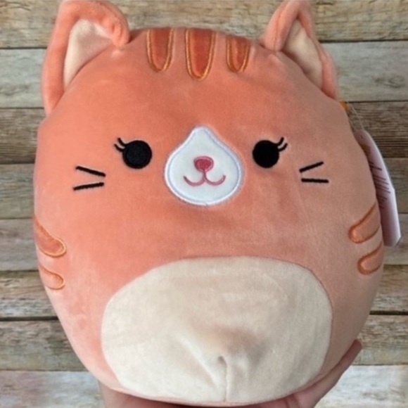cat squishmallow orange